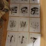 Boek 'Doldersum'- voor elke origineel een originele enveloppe